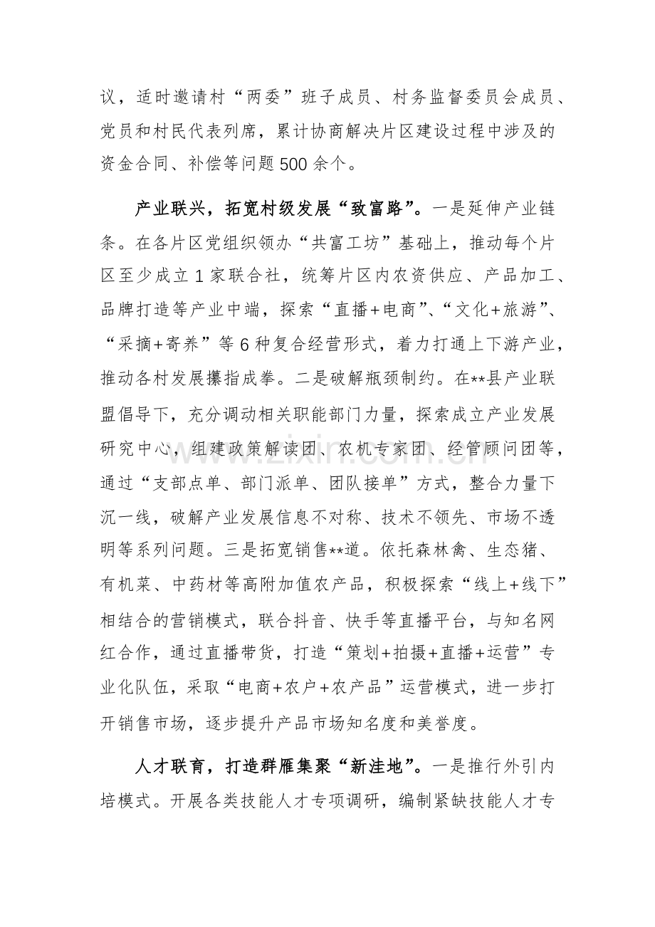 2024年党委书记抓党建促乡村振兴工作推进会上的汇报发言范文.docx_第2页