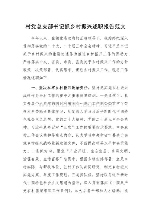 村党总支部书记抓乡村振兴述职报告范文.docx