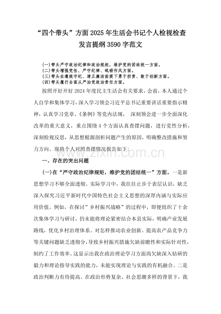 “四个带头”方面2025年生活会书记个人检视检查发言提纲3590字范文.docx_第1页