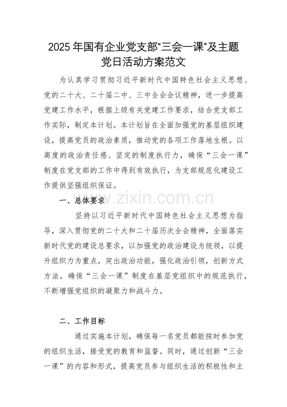 2025年国有企业党支部“三会一课”及主题党日活动方案范文.docx_第1页