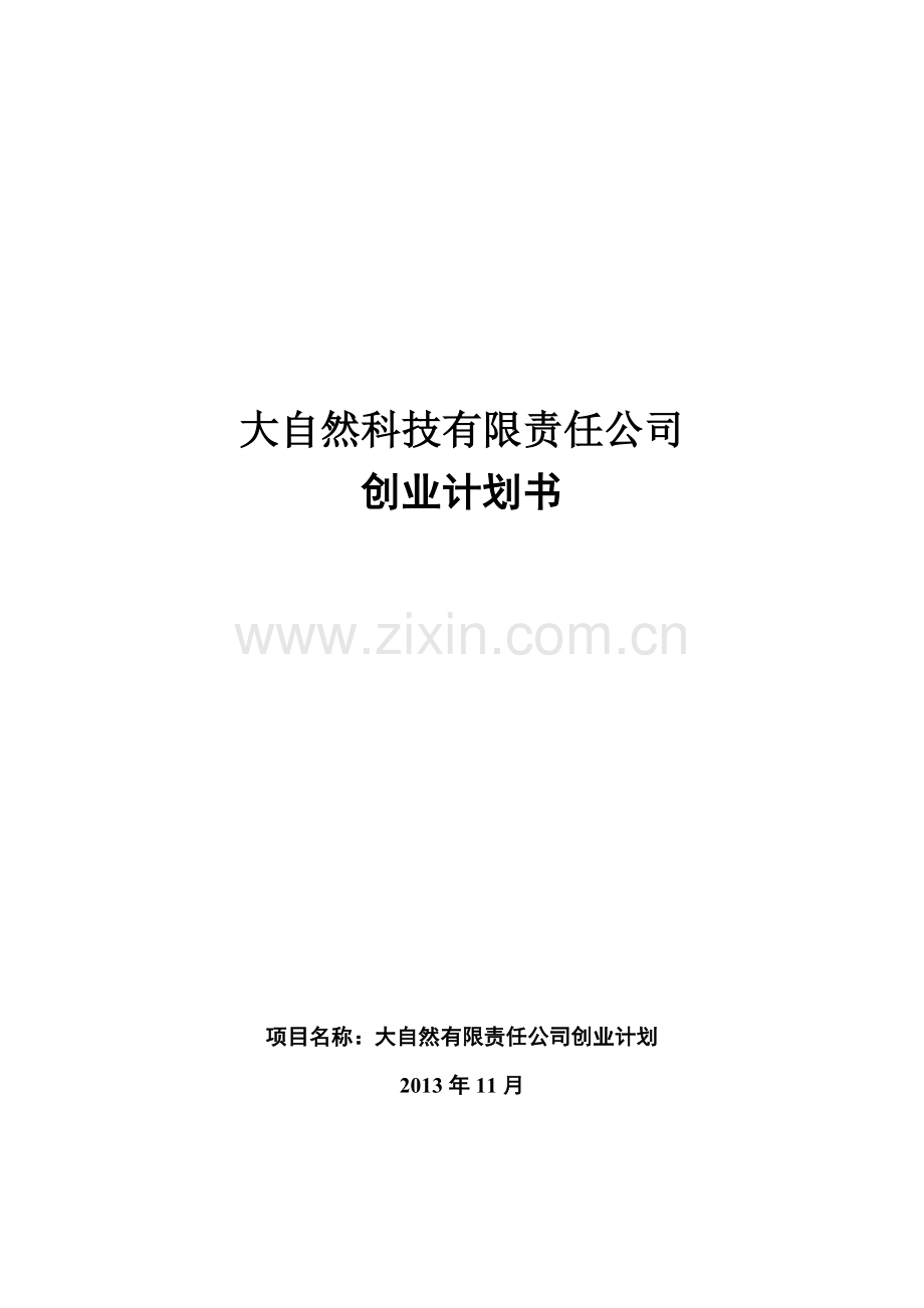 风云炫彩系列便携式空气净化器创业计划书.doc_第1页