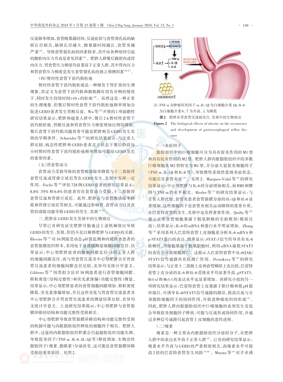 肥胖在胃食管反流病发生发展中的作用机制.pdf_第3页