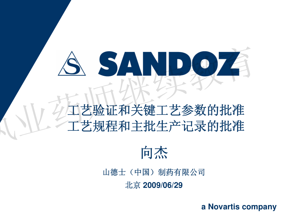 工艺验证和关键工艺参数的批准、工艺规程和主批生产记录的批准.pdf_第1页